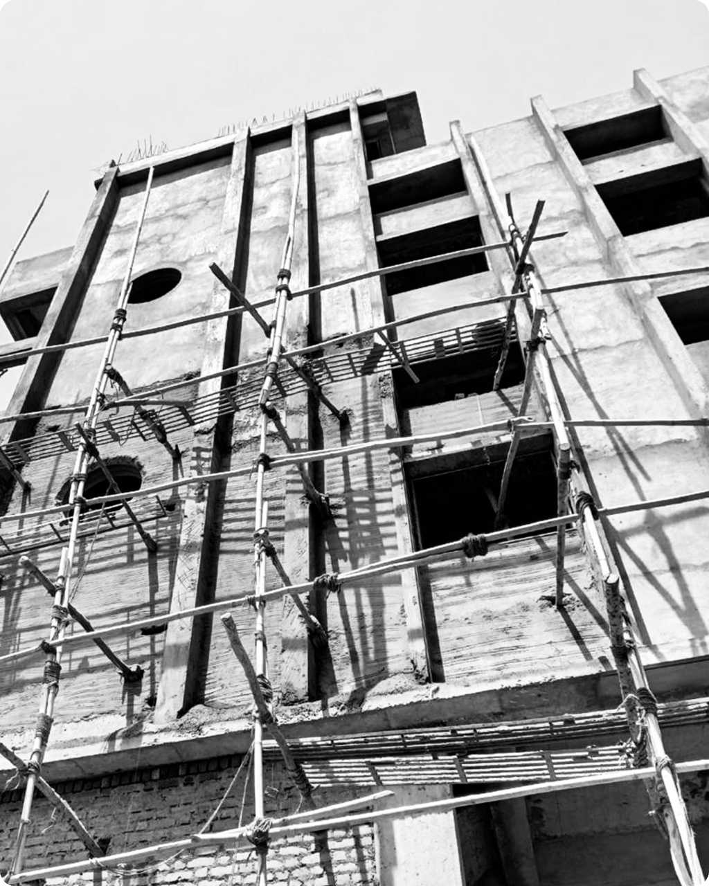 Cadixo Pharma - Panoli